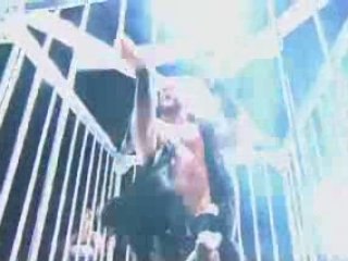 The Beast – New American Gladiator