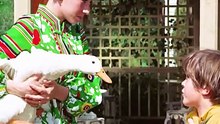 The Golden Egg Duck