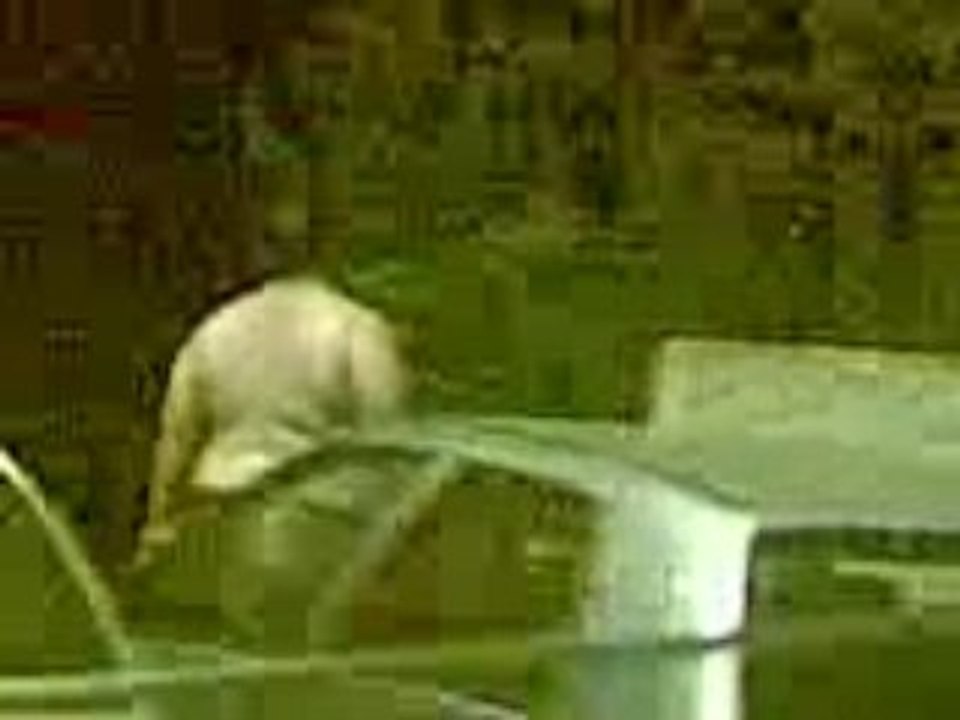 Vidéo030