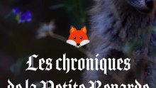 2025-06-15 🦊 Les Chroniques de la Petite Renarde – Comment tout a commencé… (1ère partie)