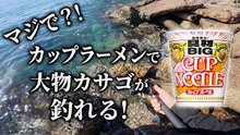 【穴釣り】マジで？！カップラーメンで大物カサゴが釣れる！