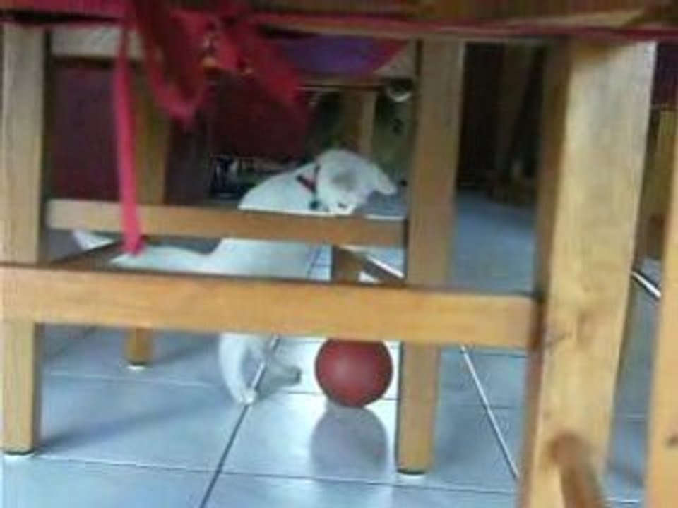 dinette endore folle