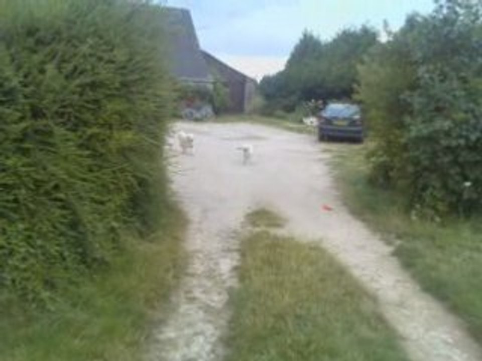 Deehane le rappel 17-07-08 bis