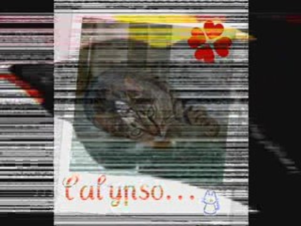 Montage2