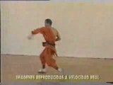 Shaolin - Tornado Kick - Performed By Shi Xing Hong