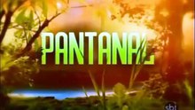 Pantanal - Capítulo 47