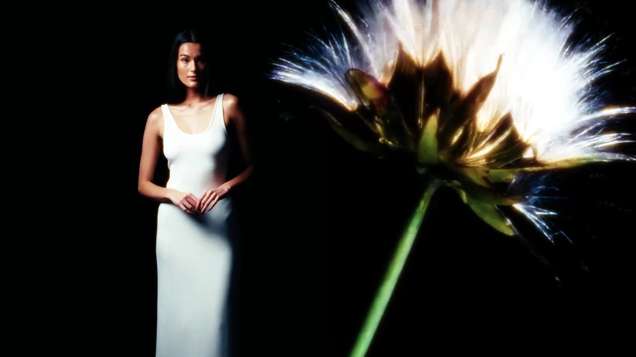 Bea Millan-Windorski: Honoring the Women Who Raised Her & Blossoming into Her Own | MEGA Magazine