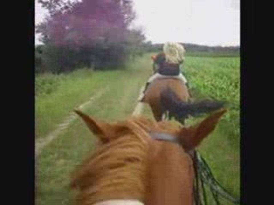 SansTitre_0001