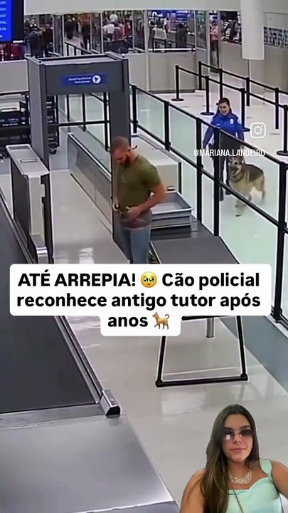 Cão policial reconhece antigo tutor após anos.