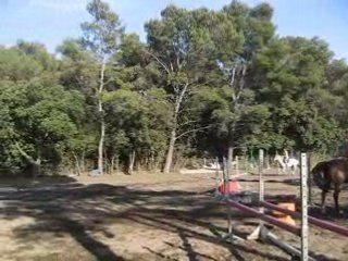 Chute [cours du 17/07/08]