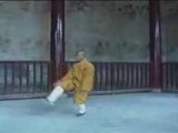 Shaolin - Tong Bei Quan - Shi De Yang