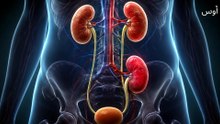 معلومات مثيرة للجدل