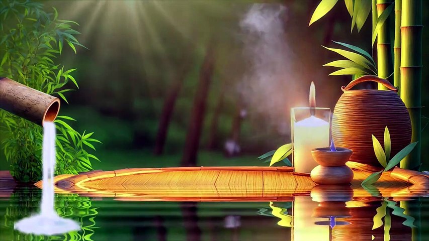 Fermez les Yeux… 🌿 Bambou Apaisant & Sérénité Profonde pour l’Esprit