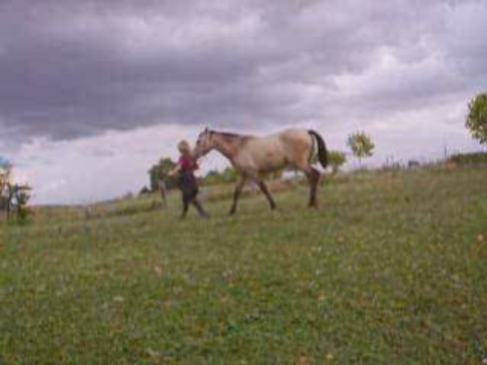17 juillet 2008