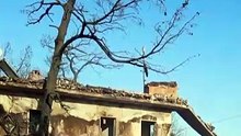 Пожары в Греции: огонь отступает, власти оценивают масштаб разрушений