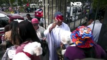 В Боливии собак окропляют святой водой на церемонии