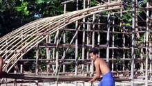 Build Big House in Forest