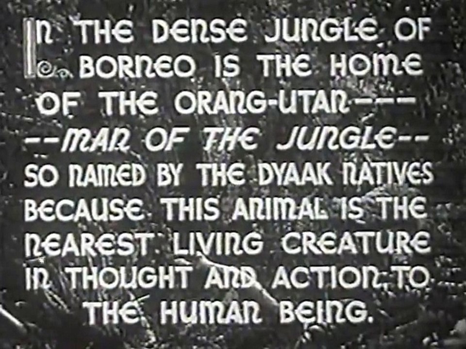 Beast Of Borneo