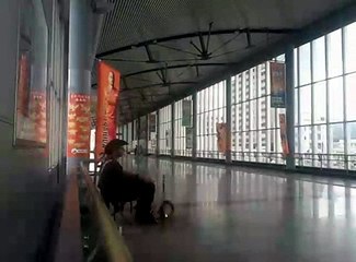 静岡市清水区駅前ライブ２０２６。ともぞう（tomozo）