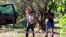 Doganin Kanunu Capítulo 4 | Las Leyes de la Naturaleza | Novela Turca en Español