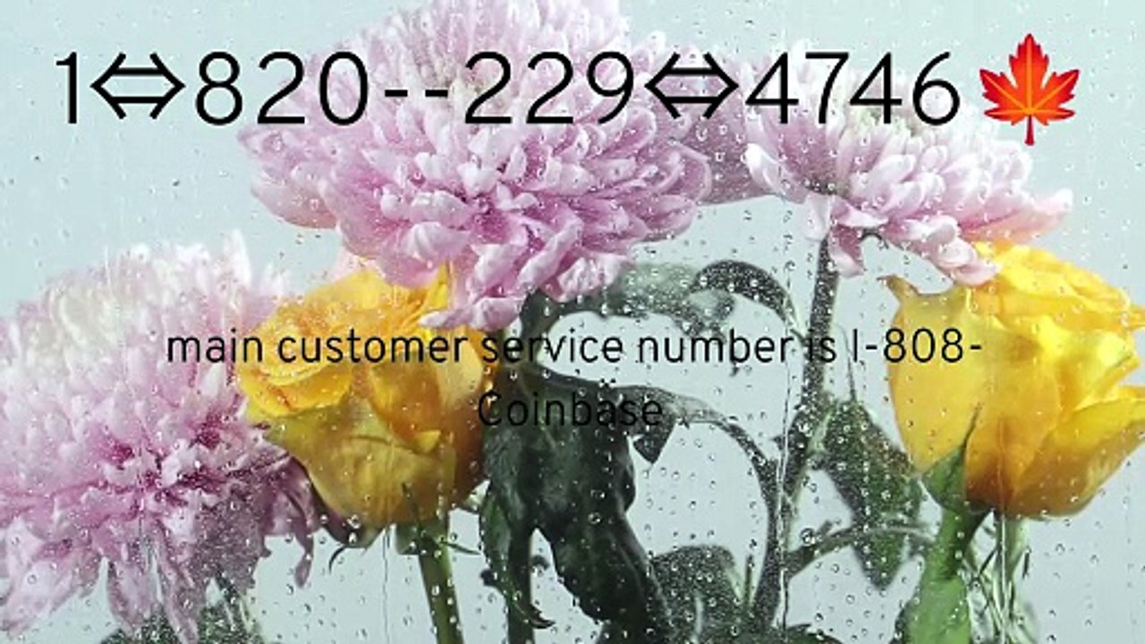 COINBASE Customer Service Numbe by Phone, Chat