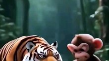 Monkey Defeated Tiger... So Tiger Upgraded! 🏍️⚔️