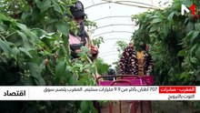 النشرة الاقتصادية - 17/08/2026