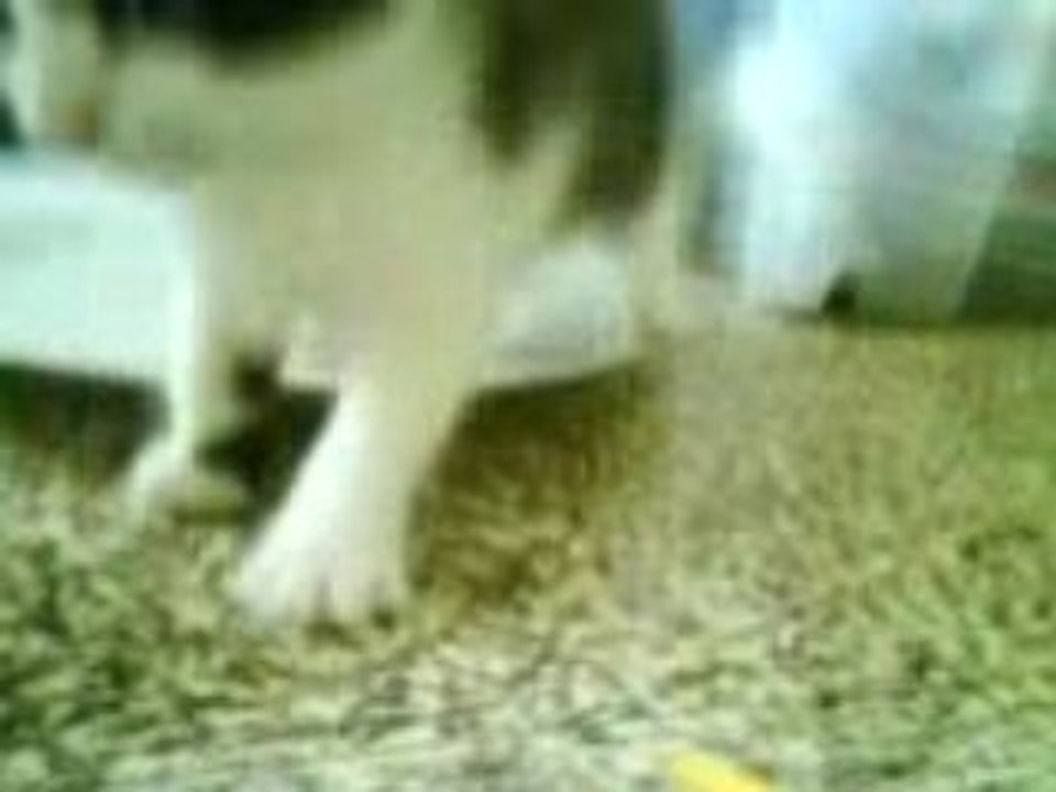 MOV00071