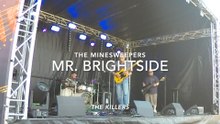 Mr Brightside - The Minesweepers (COVER)