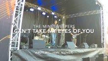 Can't Take My Eyes Off You - Andy Williams (COVER)