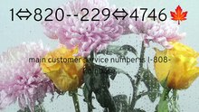 Access【COINBASEd®】™ Customer Service Phone Number Step by Step Expert Guide