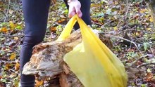 Solo_Girls_Camping_ASMR___Campfire_Cooking_🌿🔥#solocamping_#campingasmr_#campfirecooking_#bushcraft_#