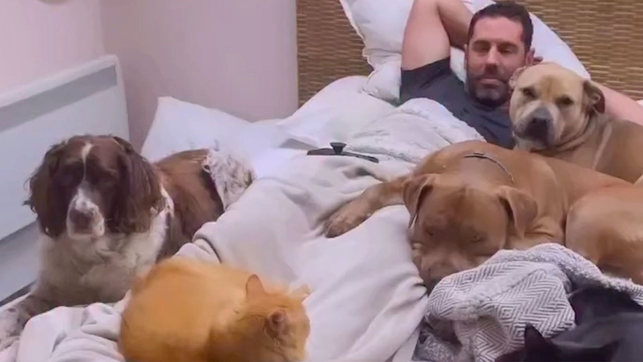 Couple Learns 20+ Rescue Animals Are Harder Than Kids