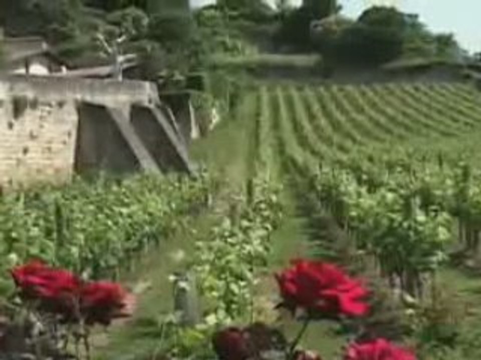 St. Emilion - Bordeaux Region of France