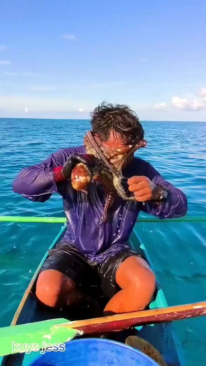 Cette pieuvre s'accroche au visage d'un pêcheur...