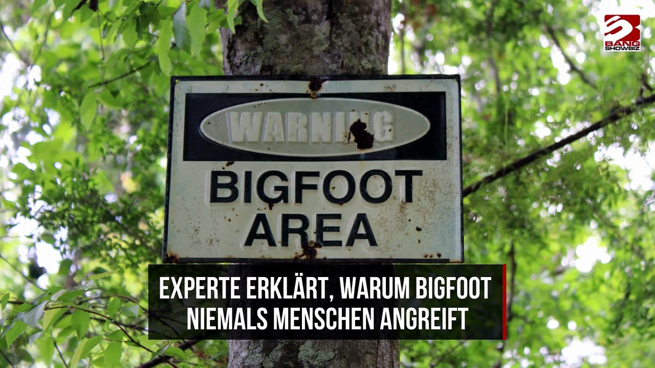 Experte erklärt, warum Bigfoot niemals Menschen angreift
