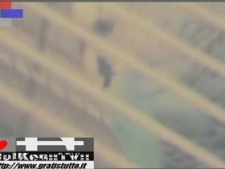 HULKEN - PAPPAGALLI PIU' CRICETO's Time ( ! )