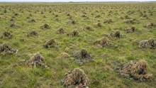 How 15,000 Snipers Eat, Sleep & Survive 96 Hours in a Ghillie Suit Without Moving