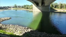 Rhein - this River will come back  !