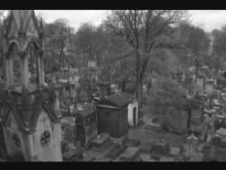 les chats du cimetière de montmartre (2006)