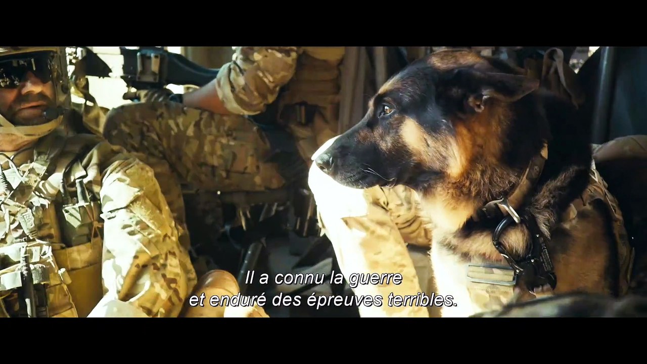 Bande-annonce : Brad Pitt aime les chiens dans...