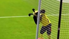 Mascote Watford