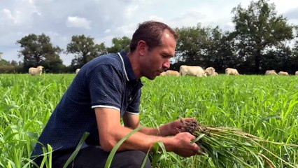 Chalain-le-Comtal : Pierre-Henri Pomport porte l'agriculture durable &agrave; un concours national