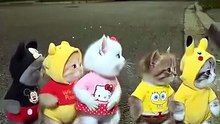 #kitty dance