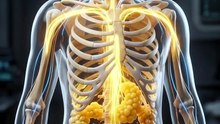 7 Days Without Food — What Happens to Your Body?