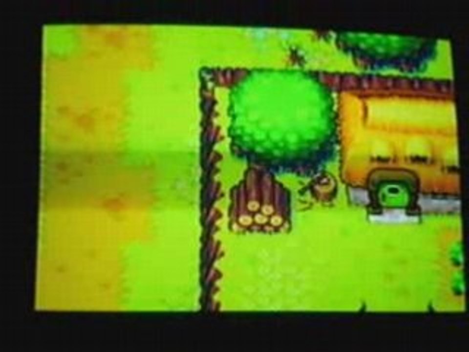 Jouer à la Game Boy Advance sur sa Nintendo Wii !