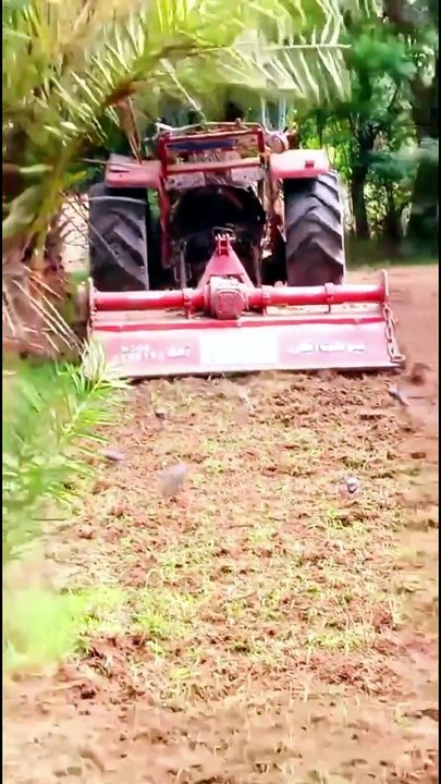 Birds Following a Tractor - Dailymotion | Natur...