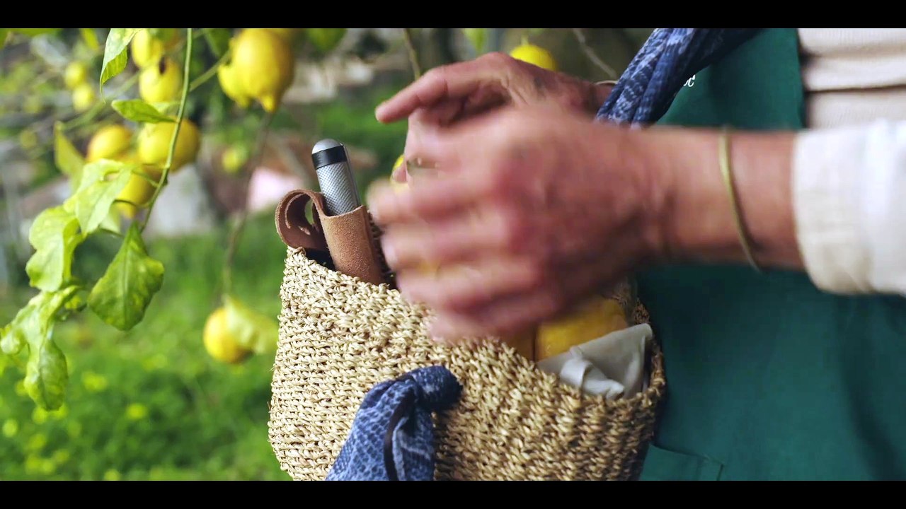 Limoni a Varsavia (trailer ufficiale HD)