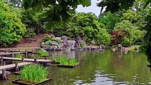 Peaceful Park Ambience: Koi Pond, Wooden Bridge & Waterfalls | Hasselt, Belgium