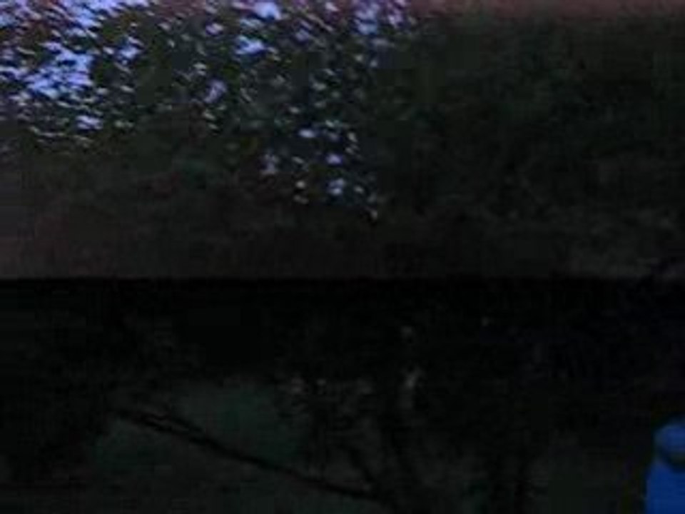 Moi et mes délires!